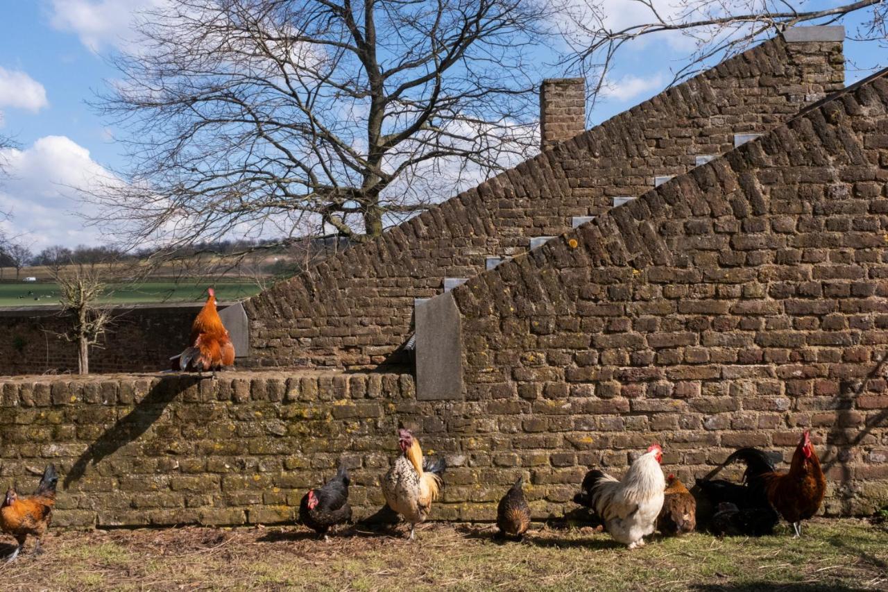 Meschermolen 1, Klein 4-persoons *